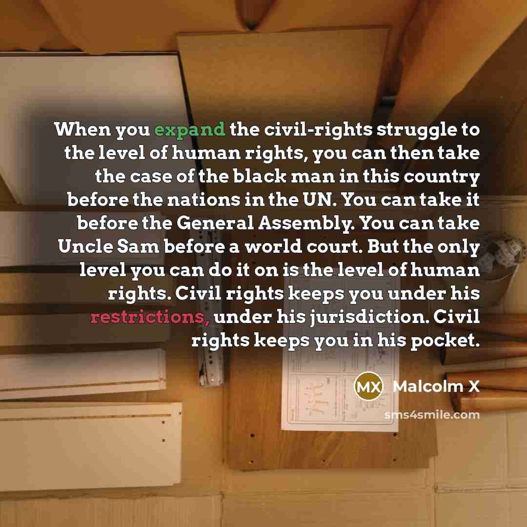 “When you expand the civil-rights struggle to the level of human rights, you can then take the case of the black man in this country before the nations in the UN. You can take it before the General Assembly. You can take Uncle Sam before a world court. But the only level you can do it on is the…” quote by Malcolm X