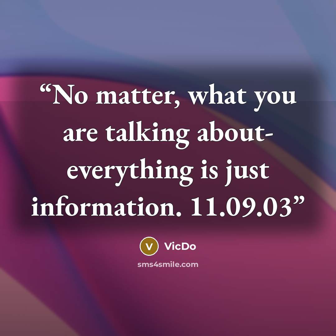 “No matter, what you are talking about- everything is just information. 11.09.03” quote by VicDo