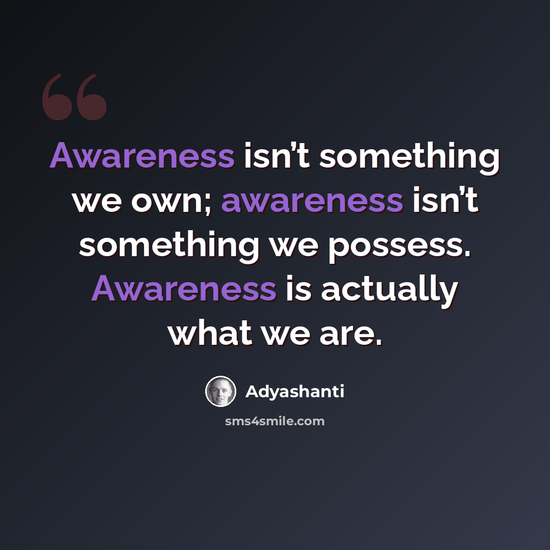 “Awareness isn’t something we own; awareness isn’t something we possess. Awareness is actually what we are.” quote by Adyashanti