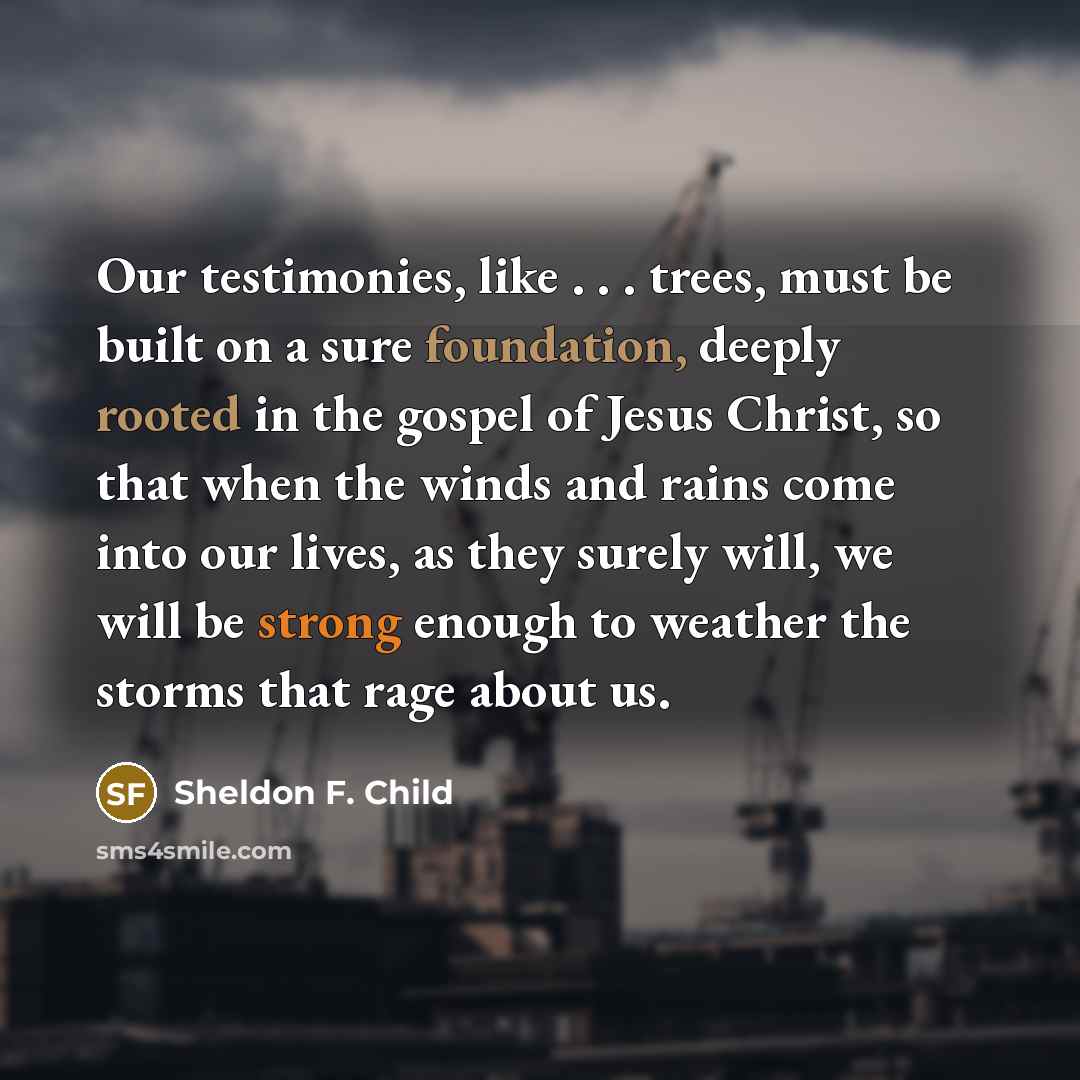 “Our testimonies, like . . . trees, must be built on a sure foundation, deeply rooted in the gospel of Jesus Christ, so that when the winds and rains come into our lives, as they surely will, we will be strong enough to weather the storms that rage about us.” quote by Sheldon F. Child
