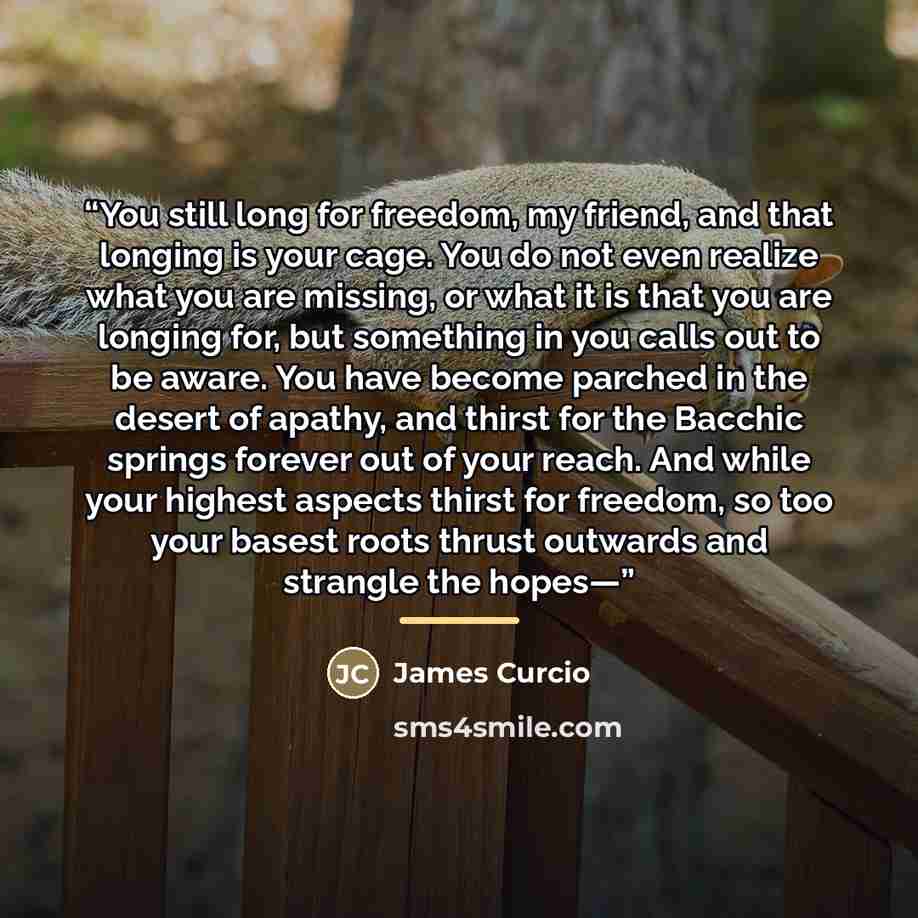 “You still long for freedom, my friend, and that longing is your cage. You do not even realize what you are missing, or what it is that you are longing for, but something in you calls out to be aware. You have become parched in the desert of apathy, and thirst for the Bacchic springs forever out of…” quote by James Curcio