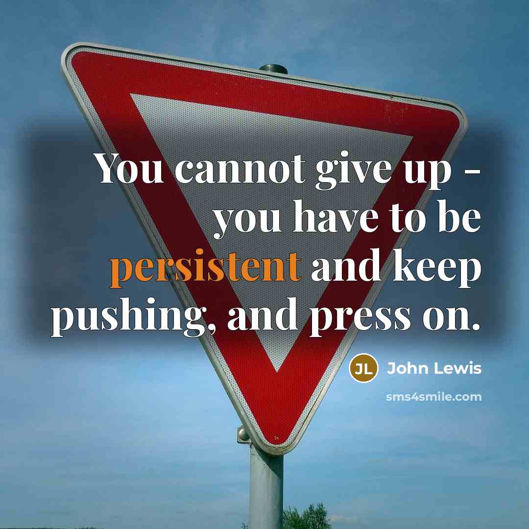 “You cannot give up - you have to be persistent and keep pushing, and press on.” quote by John Lewis