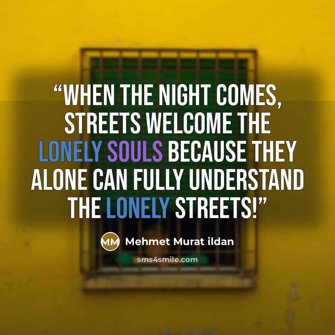 “When the night comes, streets welcome the lonely souls because they alone can fully understand the lonely streets!” quote by Mehmet Murat ildan