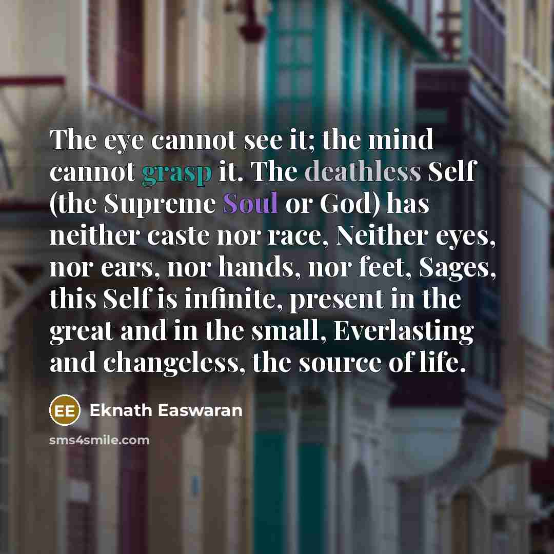 “The eye cannot see it; the mind cannot grasp it. The deathless Self (the Supreme Soul or God) has neither caste nor race, Neither eyes, nor ears, nor hands, nor feet, Sages, this Self is infinite, present in the great and in the small, Everlasting and changeless, the source of life.” quote by Eknath Easwaran