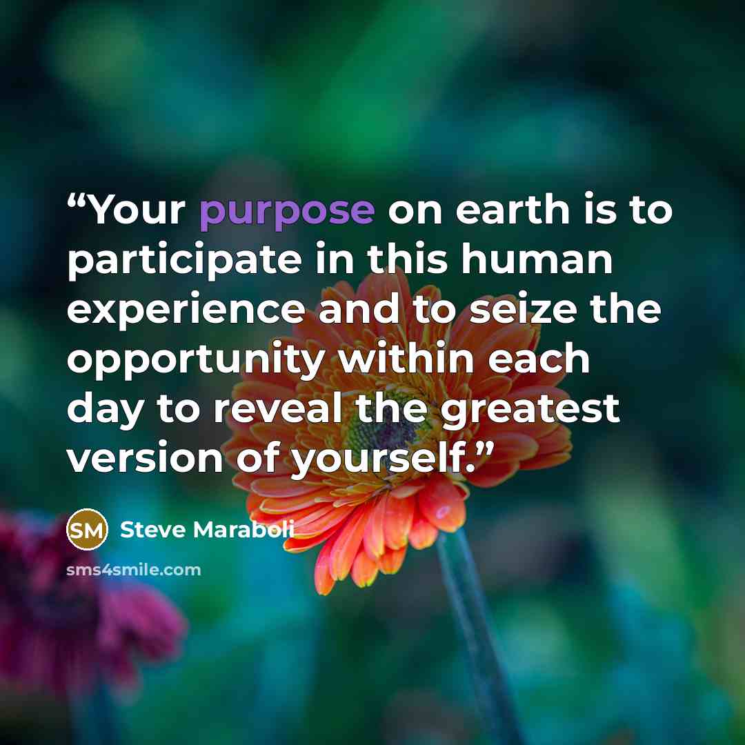 “Your purpose on earth is to participate in this human experience and to seize the opportunity within each day to reveal the greatest version of yourself.” quote by Steve Maraboli