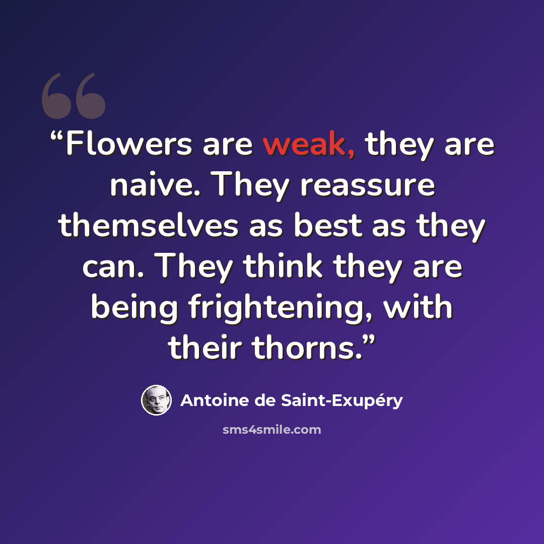 “Flowers are weak, they are naive. They reassure themselves as best as they can. They think they are being frightening, with their thorns.” quote by Antoine de Saint-Exupéry