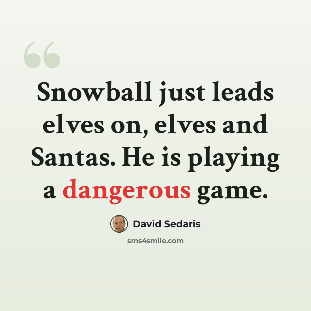 “Snowball just leads elves on, elves and Santas. He is playing a dangerous game.” quote by David Sedaris