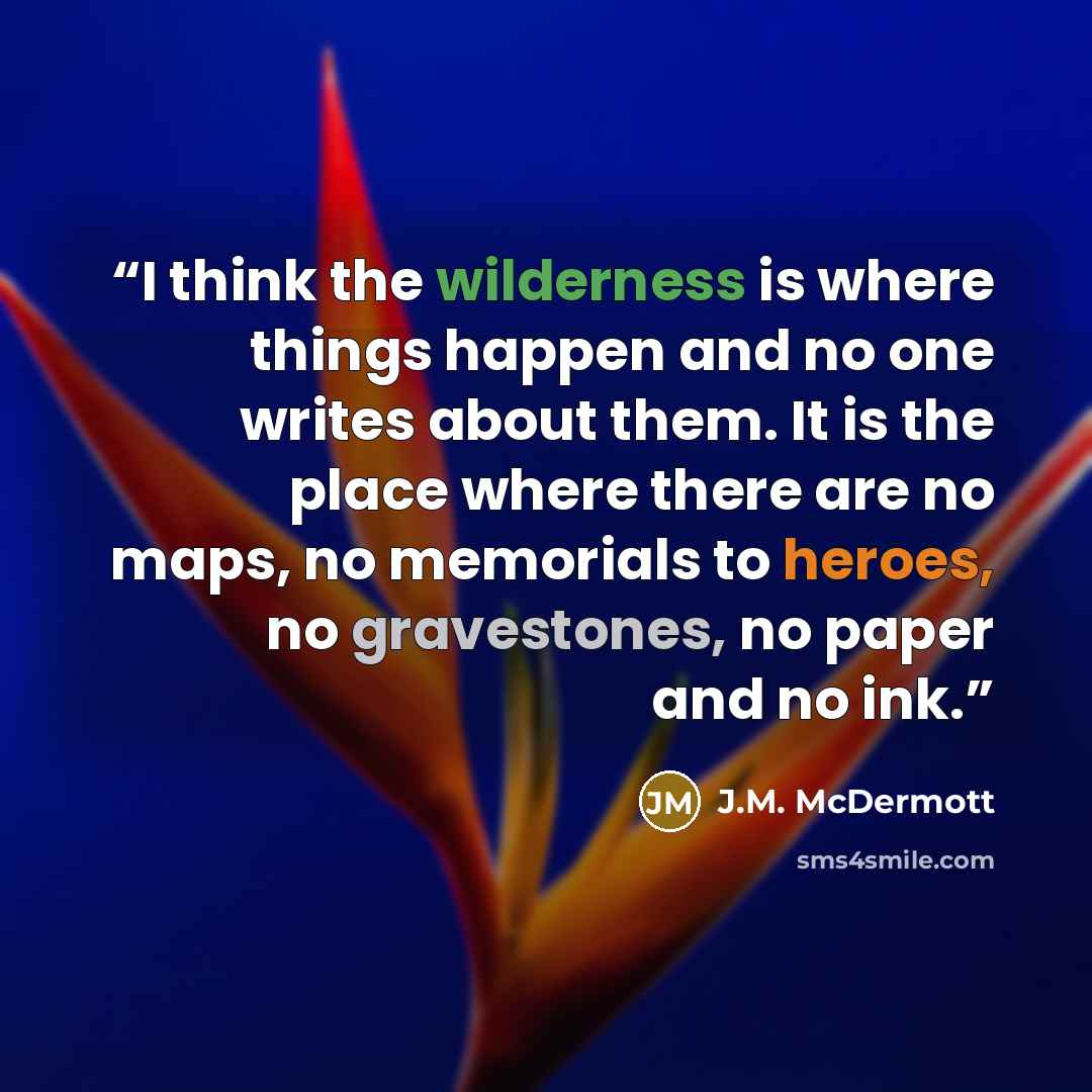 “I think the wilderness is where things happen and no one writes about them. It is the place where there are no maps, no memorials to heroes, no gravestones, no paper and no ink.” quote by J.M. McDermott