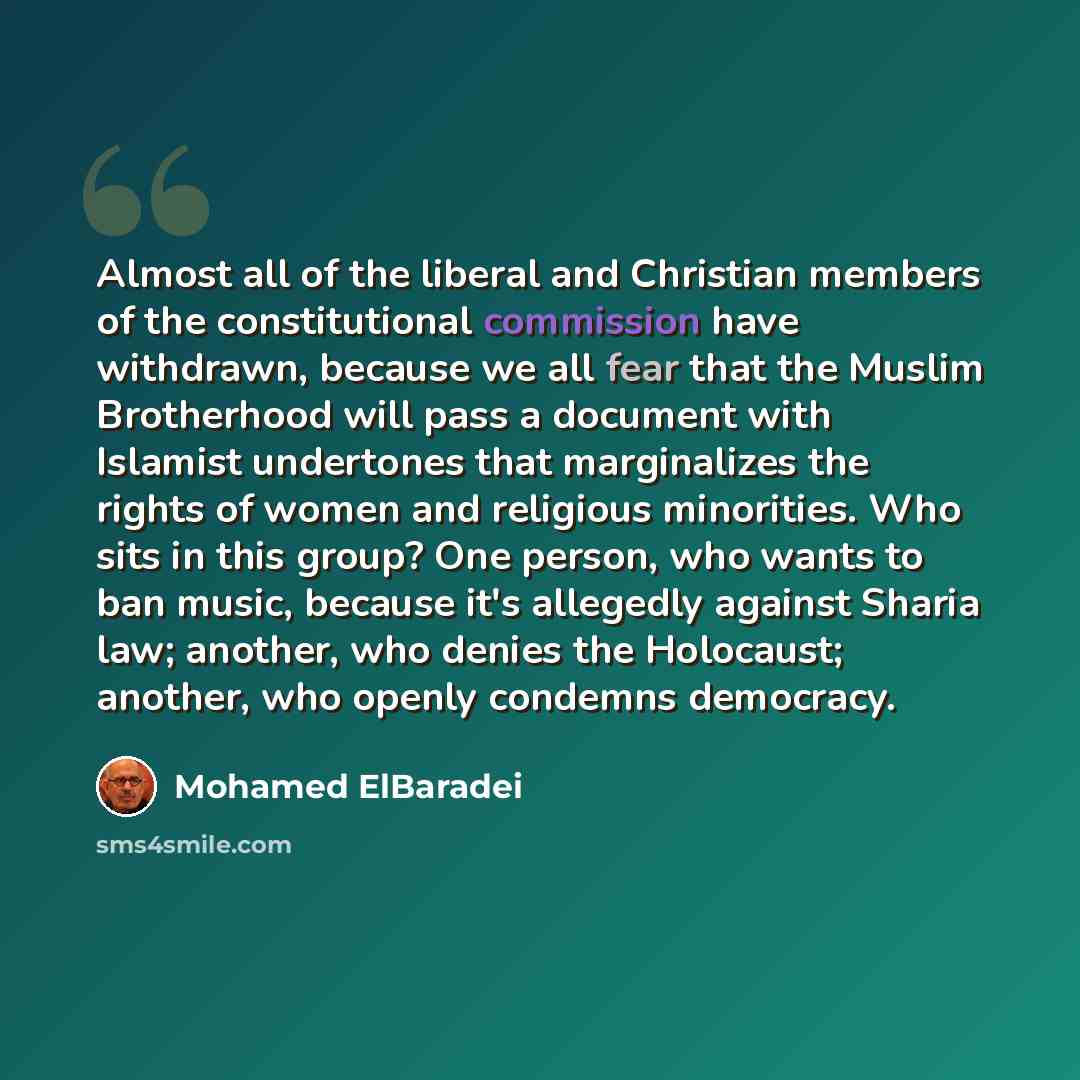 “Almost all of the liberal and Christian members of the constitutional commission have withdrawn, because we all fear that the Muslim Brotherhood will pass a document with Islamist undertones that marginalizes the rights of women and religious minorities. Who sits in this group? One person, who…” quote by Mohamed ElBaradei