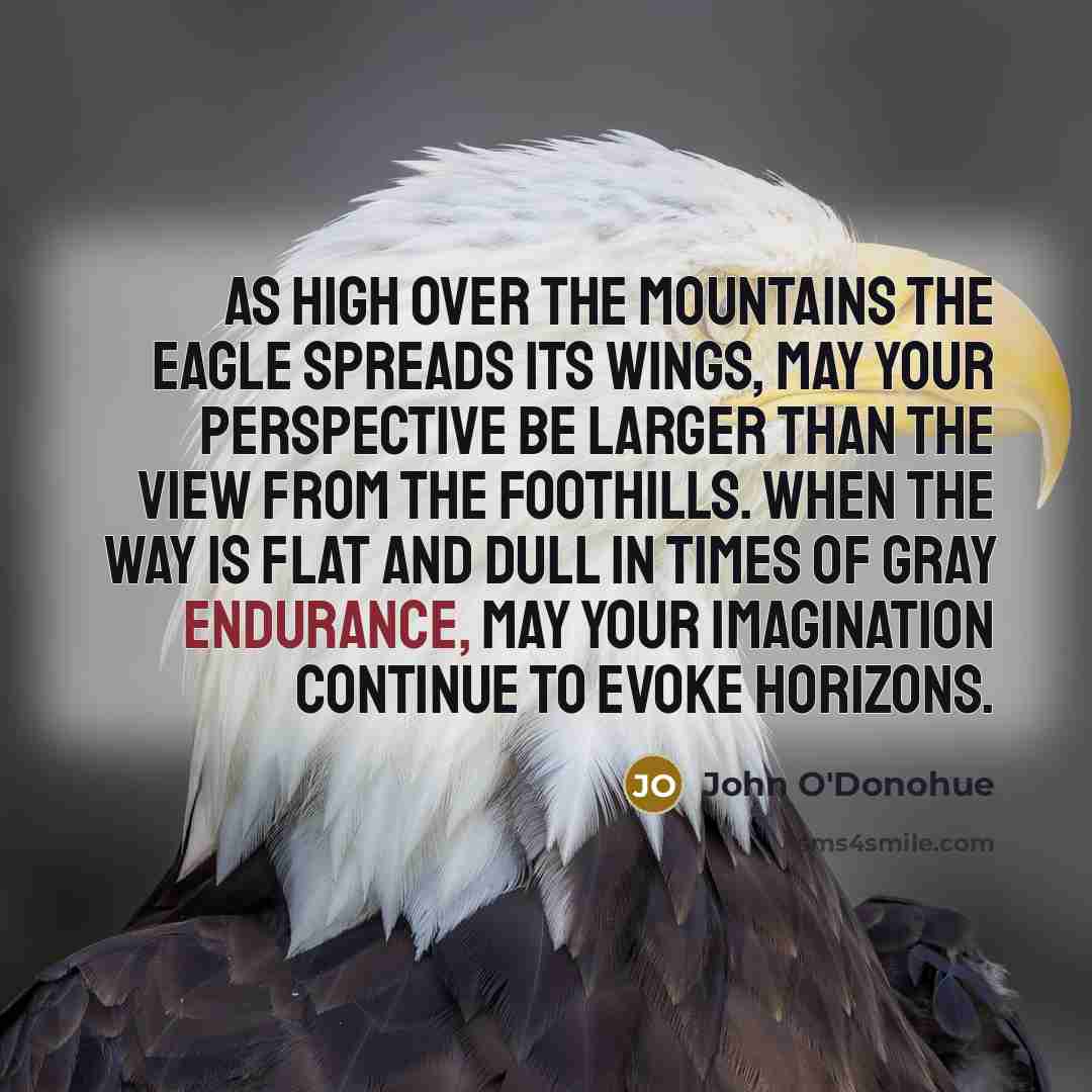 “As high over the mountains the eagle spreads its wings, may your perspective be larger than the view from the foothills. When the way is flat and dull in times of gray endurance, may your imagination continue to evoke horizons.” quote by John O'Donohue