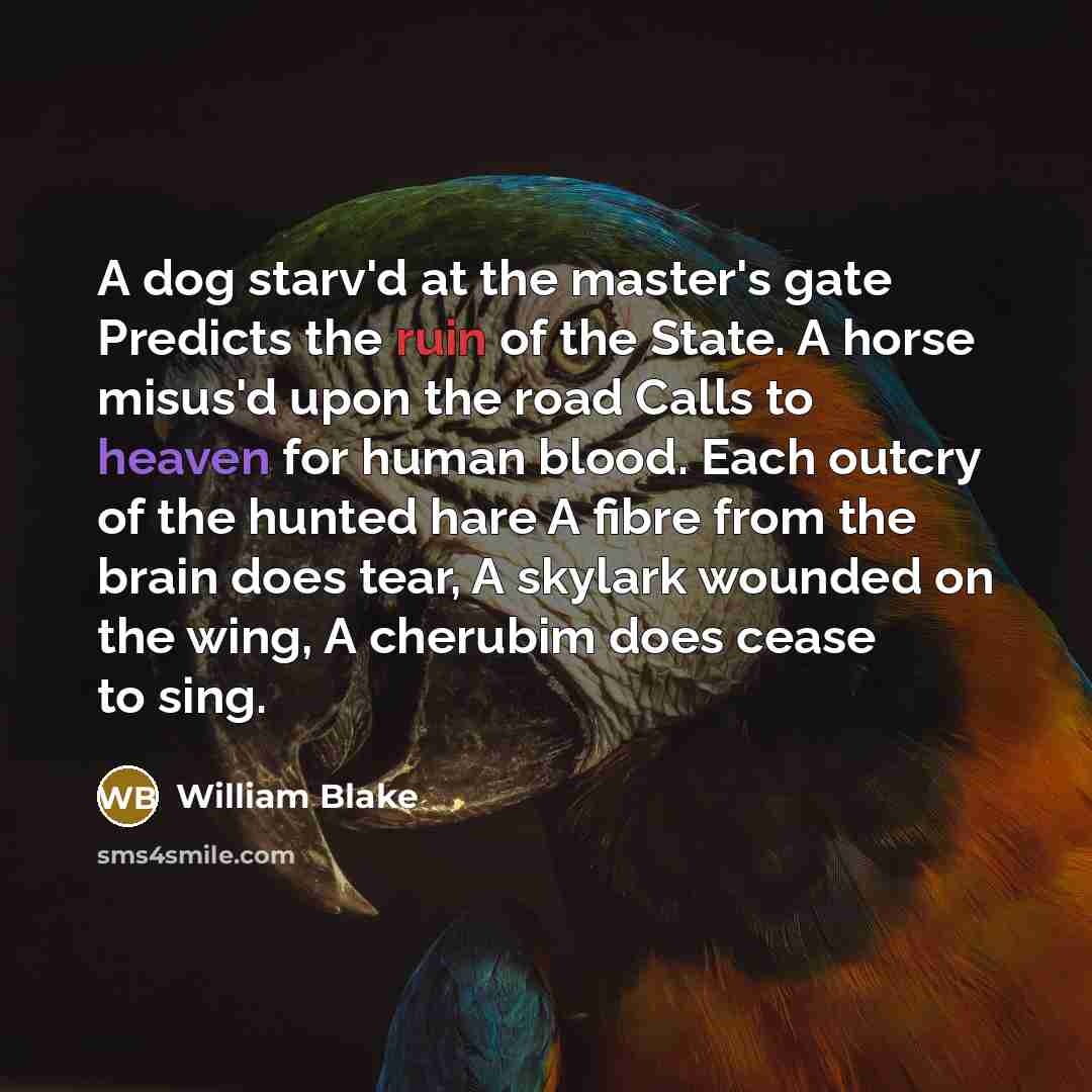 “A dog starv'd at the master's gate Predicts the ruin of the State. A horse misus'd upon the road Calls to heaven for human blood. Each outcry of the hunted hare A fibre from the brain does tear, A skylark wounded on the wing, A cherubim does cease to sing.” quote by William Blake