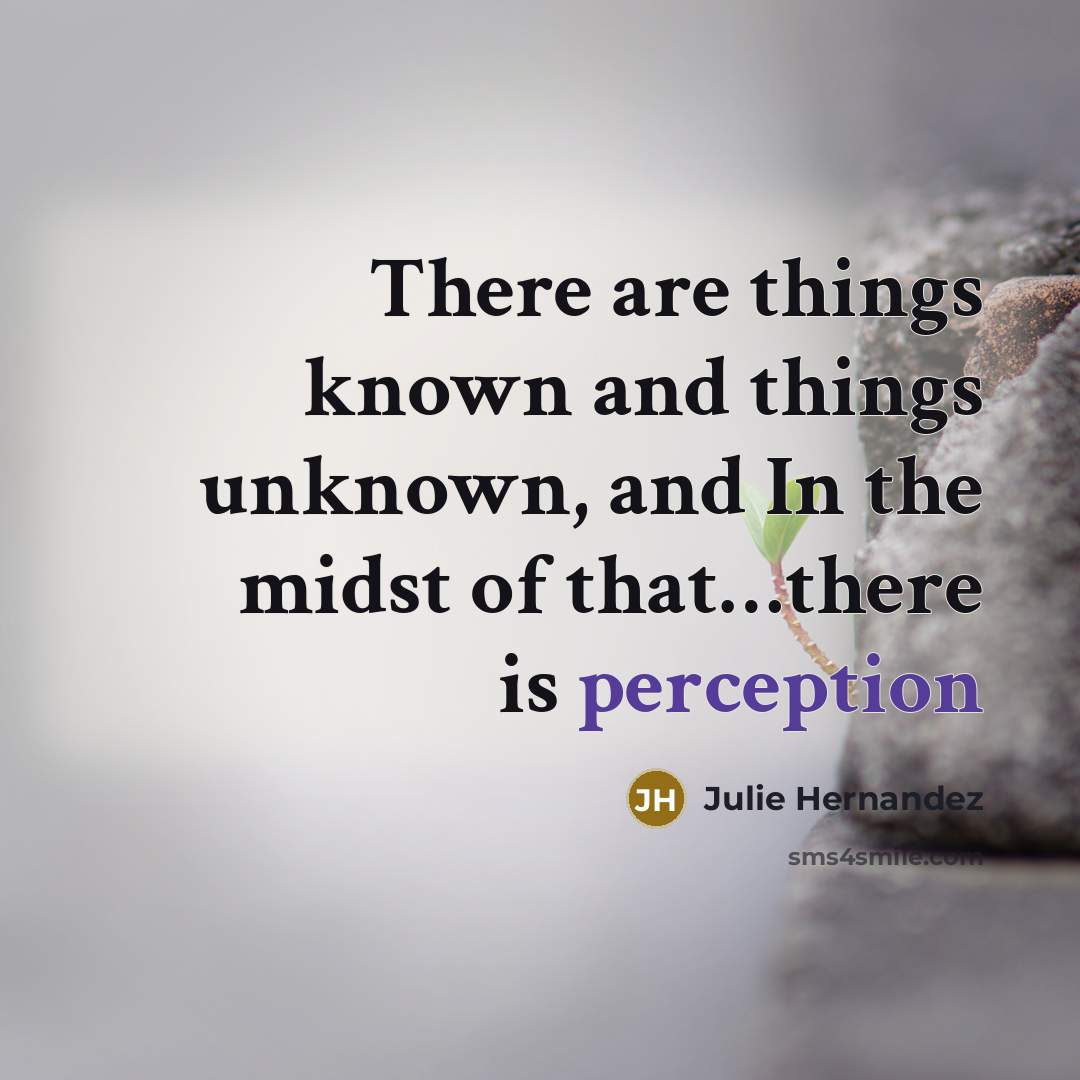 “There are things known and things unknown, and In the midst of that…there is perception” quote by Julie Hernandez