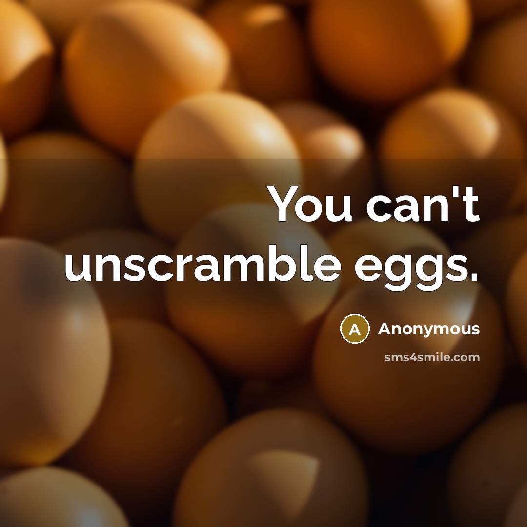 “You can't unscramble eggs.” quote by Anonymous