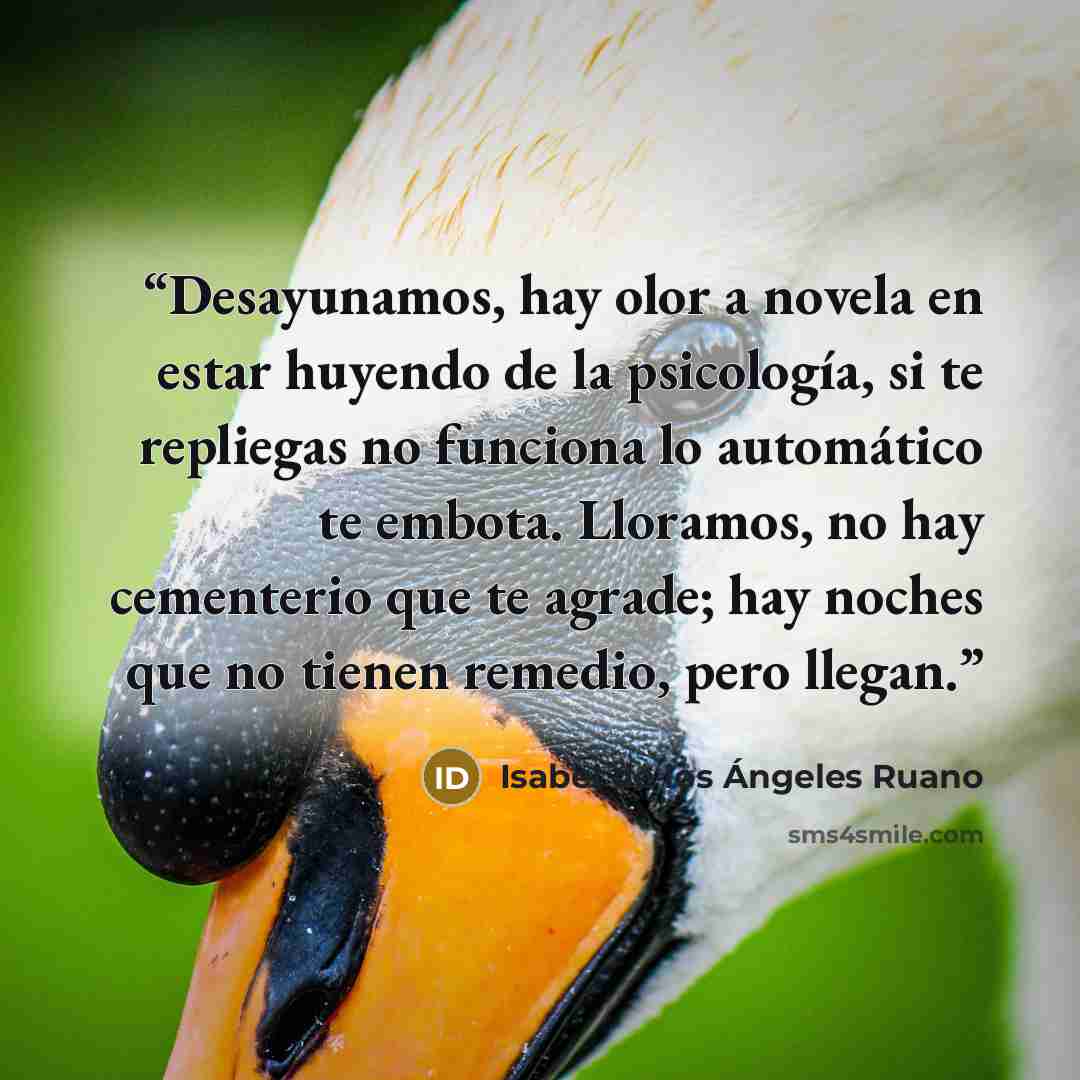“Desayunamos, hay olor a novela en estar huyendo de la psicología, si te repliegas no funciona lo automático te embota. Lloramos, no hay cementerio que te agrade; hay noches que no tienen remedio, pero llegan.” quote by Isabel de los Ángeles Ruano
