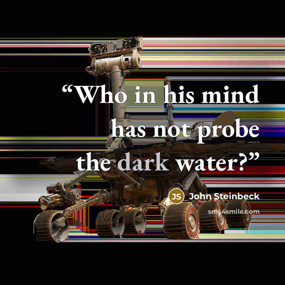 “Who in his mind has not probe the dark water?” quote by John Steinbeck