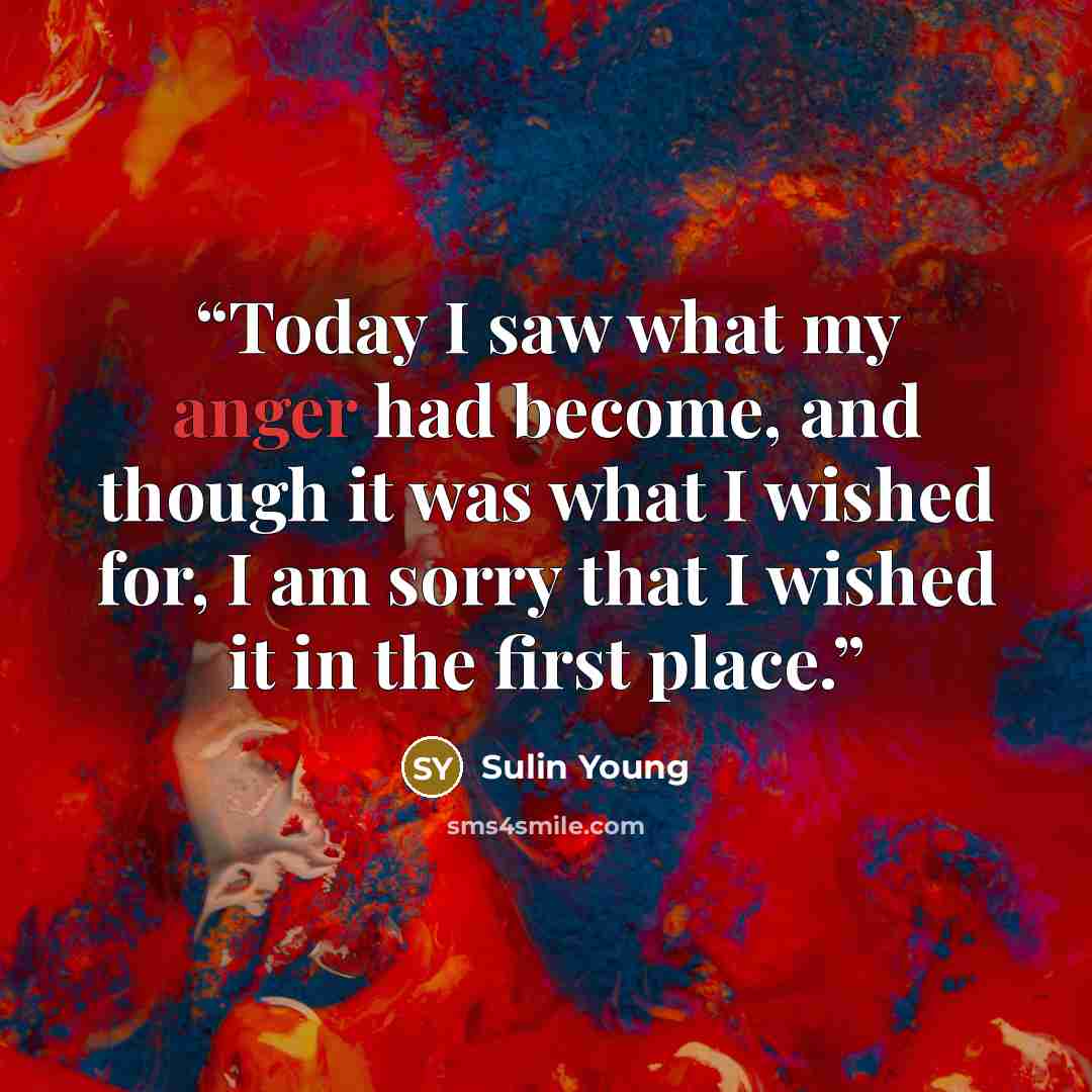 “Today I saw what my anger had become, and though it was what I wished for, I am sorry that I wished it in the first place.” quote by Sulin Young