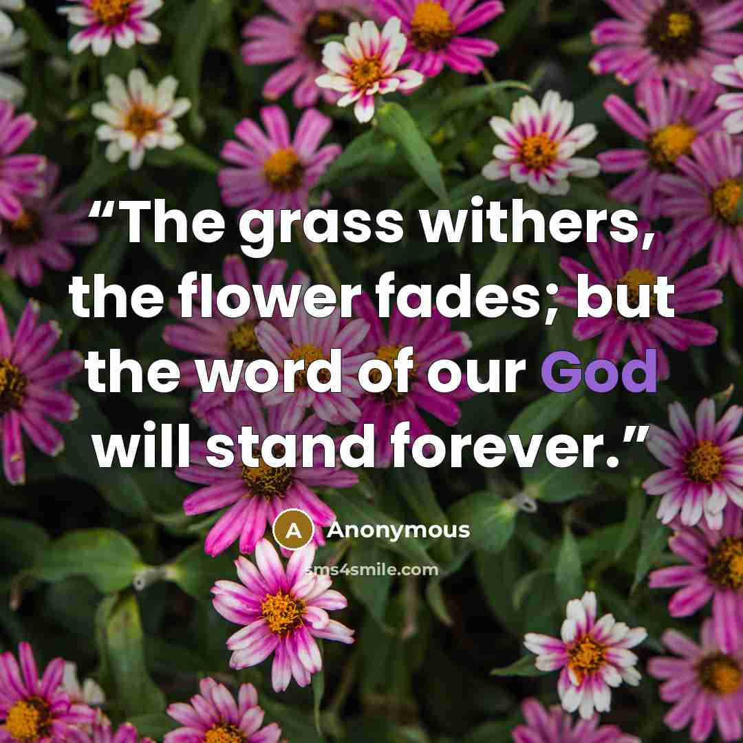 “The grass withers, the flower fades; but the word of our God will stand forever.” quote by Anonymous
