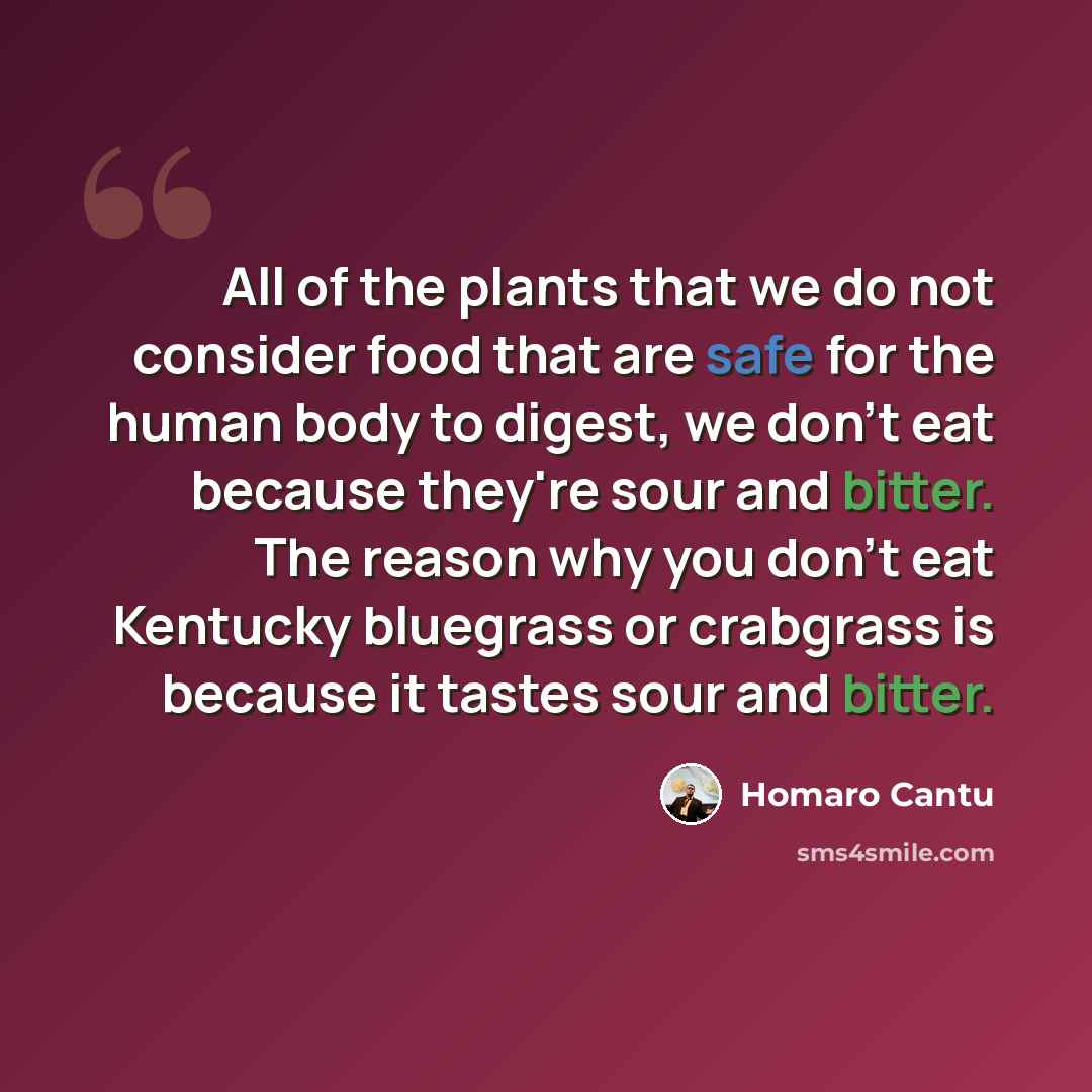 “All of the plants that we do not consider food that are safe for the human body to digest, we don't eat because they're sour and bitter. The reason why you don't eat Kentucky bluegrass or crabgrass is because it tastes sour and bitter.” quote by Homaro Cantu