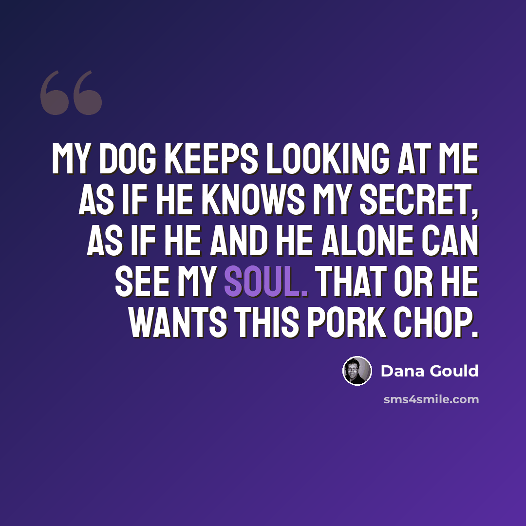 “My dog keeps looking at me as if he knows my secret, as if he and he alone can see my soul. That or he wants this pork chop.” quote by Dana Gould