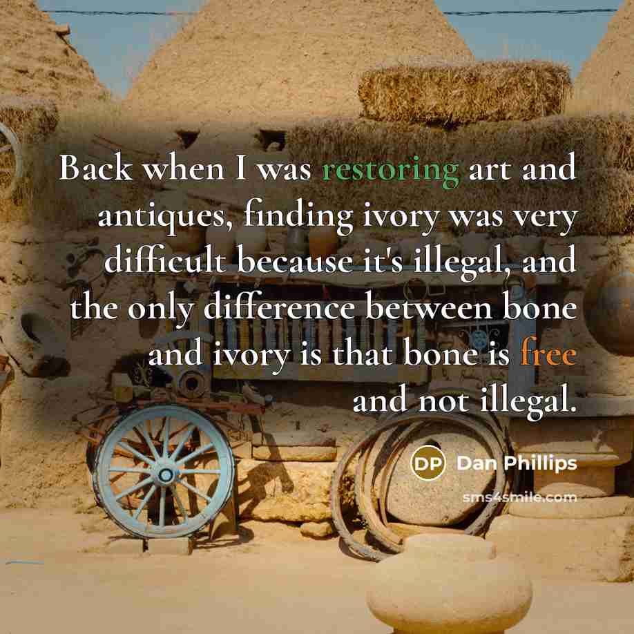 “Back when I was restoring art and antiques, finding ivory was very difficult because it's illegal, and the only difference between bone and ivory is that bone is free and not illegal.” quote by Dan Phillips