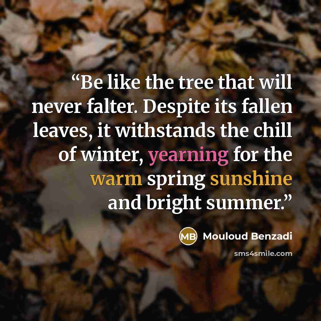 “Be like the tree that will never falter. Despite its fallen leaves, it withstands the chill of winter, yearning for the warm spring sunshine and bright summer.” quote by Mouloud Benzadi
