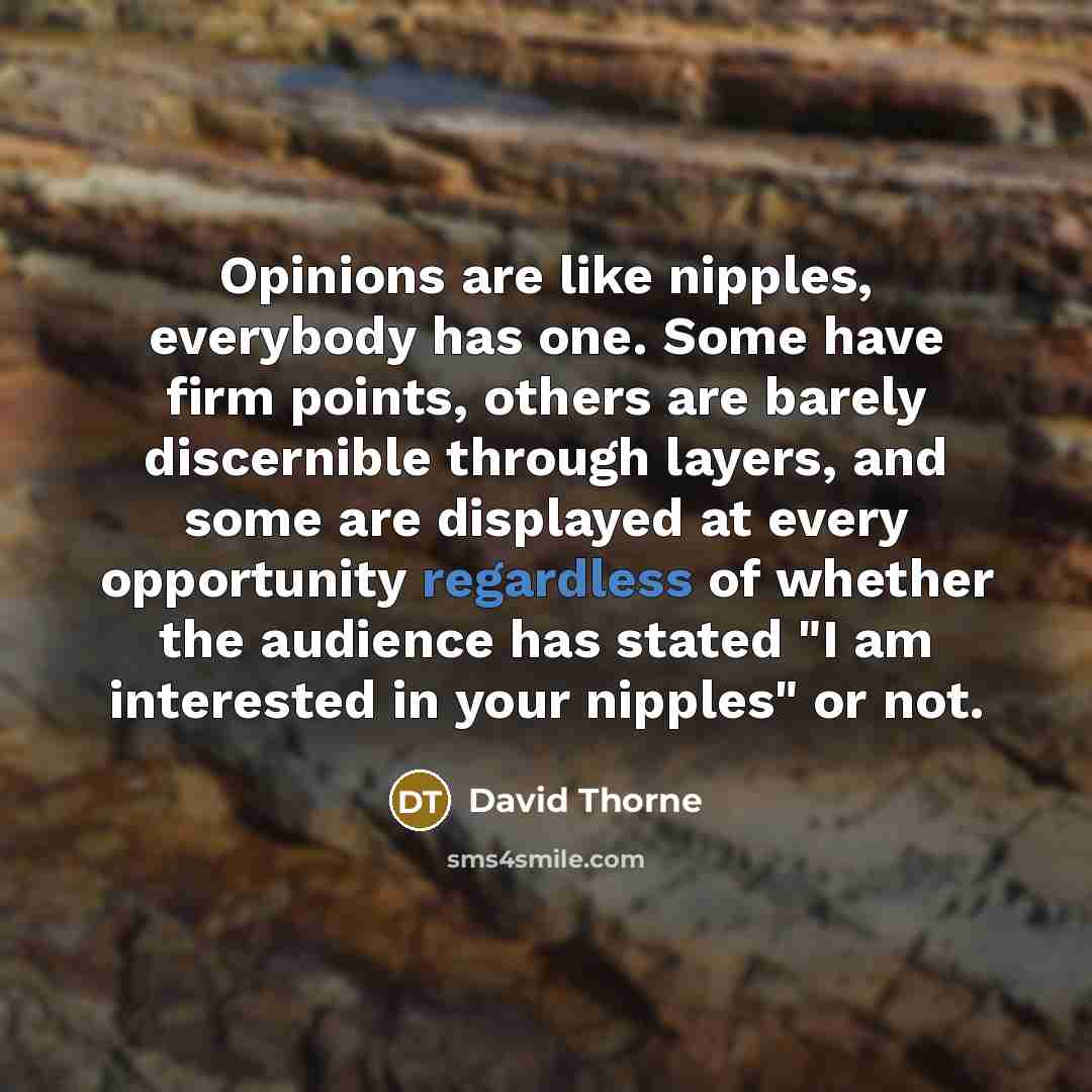 “Opinions are like nipples, everybody has one. Some have firm points, others are barely discernible through layers, and some are displayed at every opportunity regardless of whether the audience has stated "I am interested in your nipples" or not.” quote by David Thorne