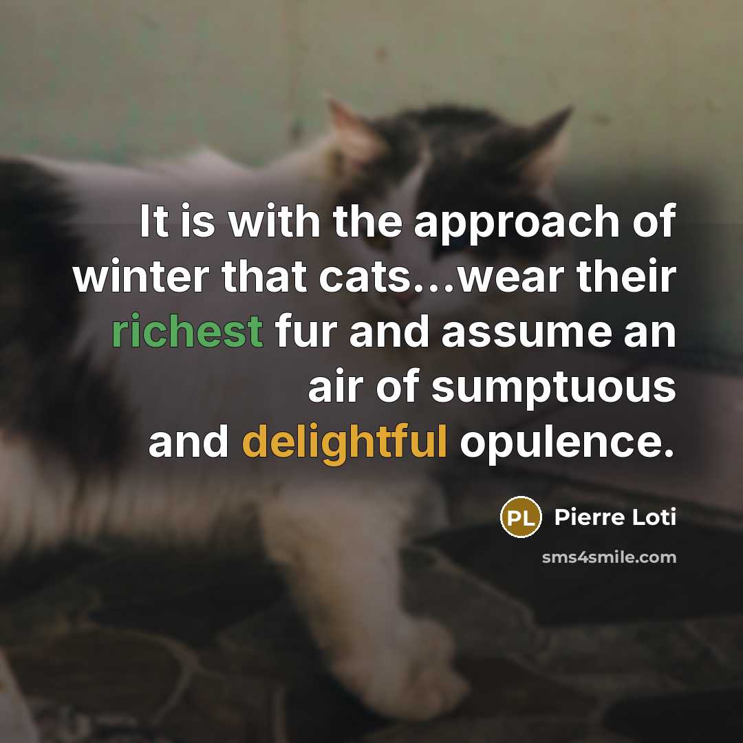 “It is with the approach of winter that cats...wear their richest fur and assume an air of sumptuous and delightful opulence.” quote by Pierre Loti