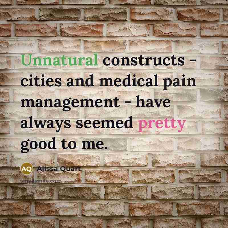 “Unnatural constructs - cities and medical pain management - have always seemed pretty good to me.” quote by Alissa Quart