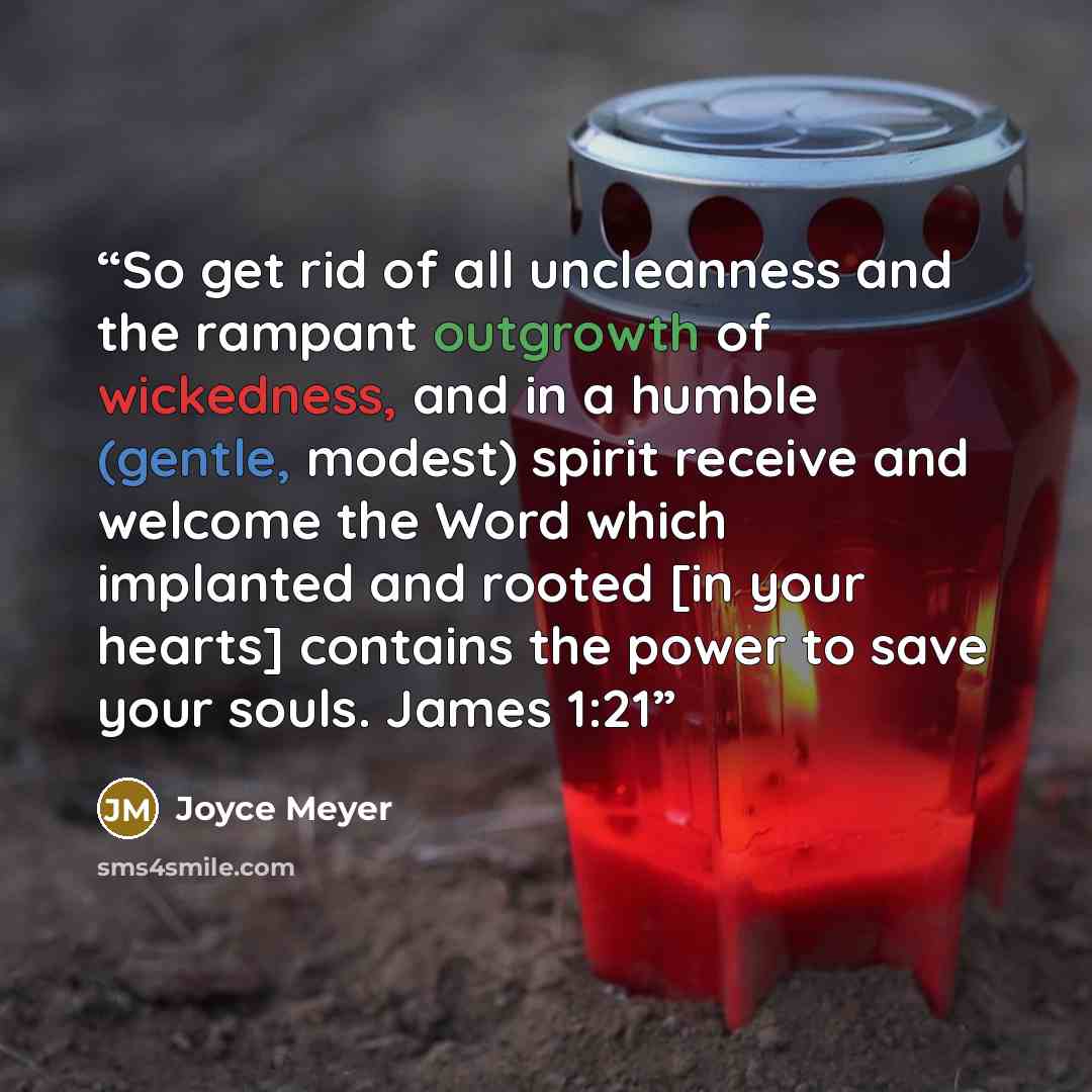 “So get rid of all uncleanness and the rampant outgrowth of wickedness, and in a humble (gentle, modest) spirit receive and welcome the Word which implanted and rooted [in your hearts] contains the power to save your souls. James 1:21” quote by Joyce Meyer