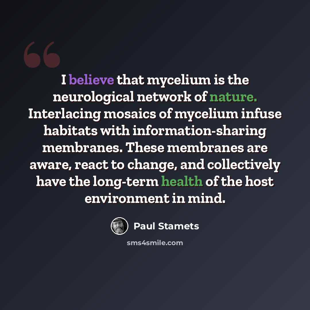 “I believe that mycelium is the neurological network of nature. Interlacing mosaics of mycelium infuse habitats with information-sharing membranes. These membranes are aware, react to change, and collectively have the long-term health of the host environment in mind.” quote by Paul Stamets