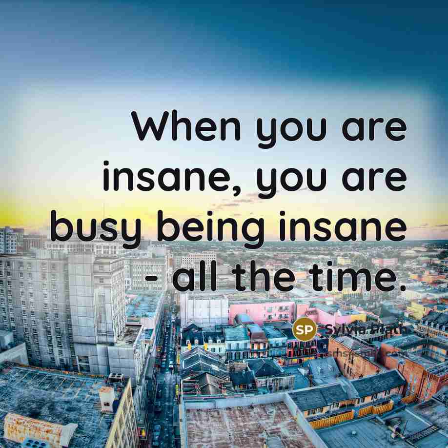 “When you are insane, you are busy being insane - all the time.” quote by Sylvia Plath