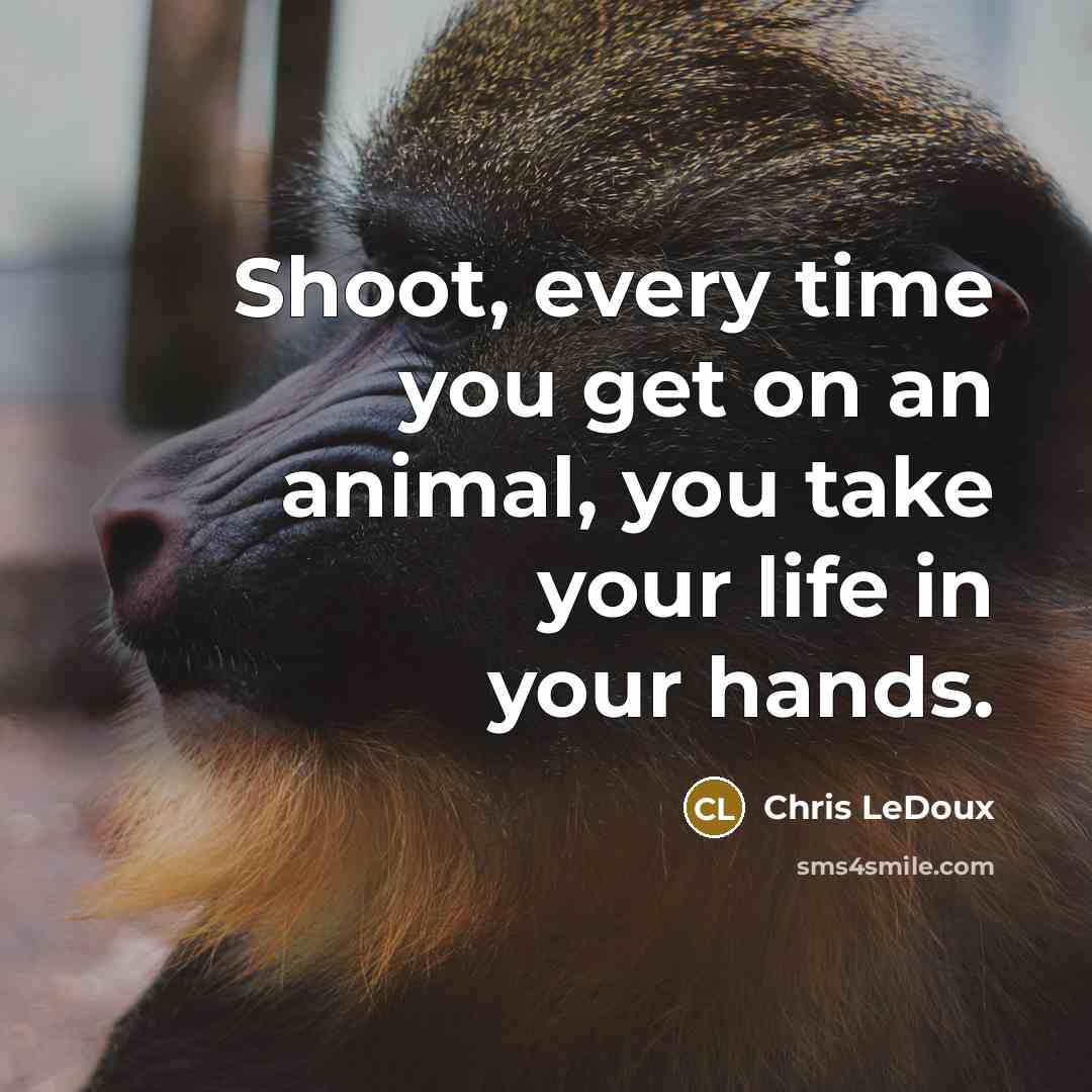 “Shoot, every time you get on an animal, you take your life in your hands.” quote by Chris LeDoux