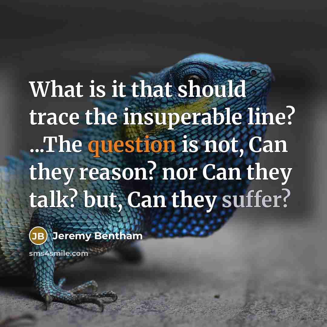 “What is it that should trace the insuperable line? ...The question is not, Can they reason? nor Can they talk? but, Can they suffer?” quote by Jeremy Bentham
