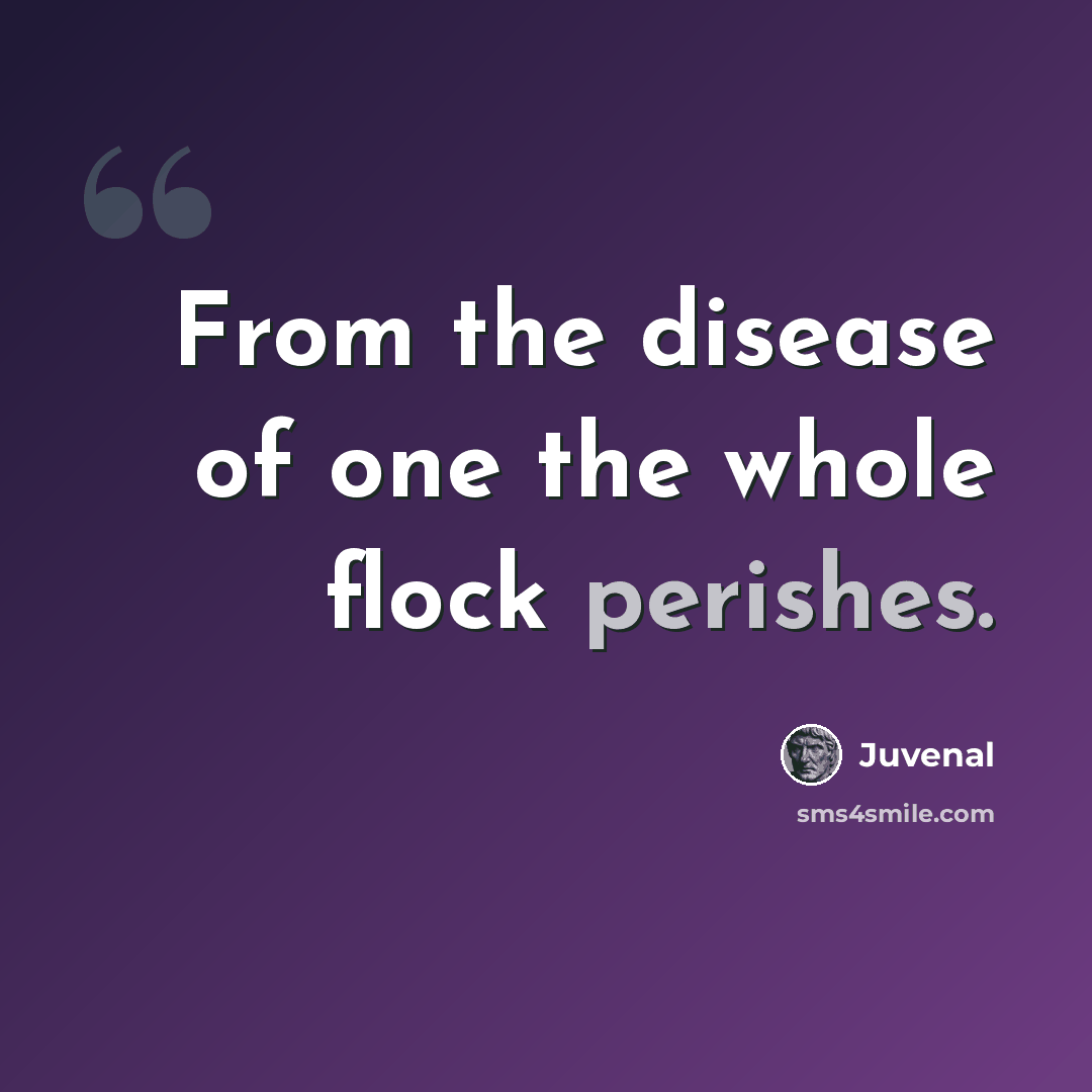 “From the disease of one the whole flock perishes.” quote by Juvenal