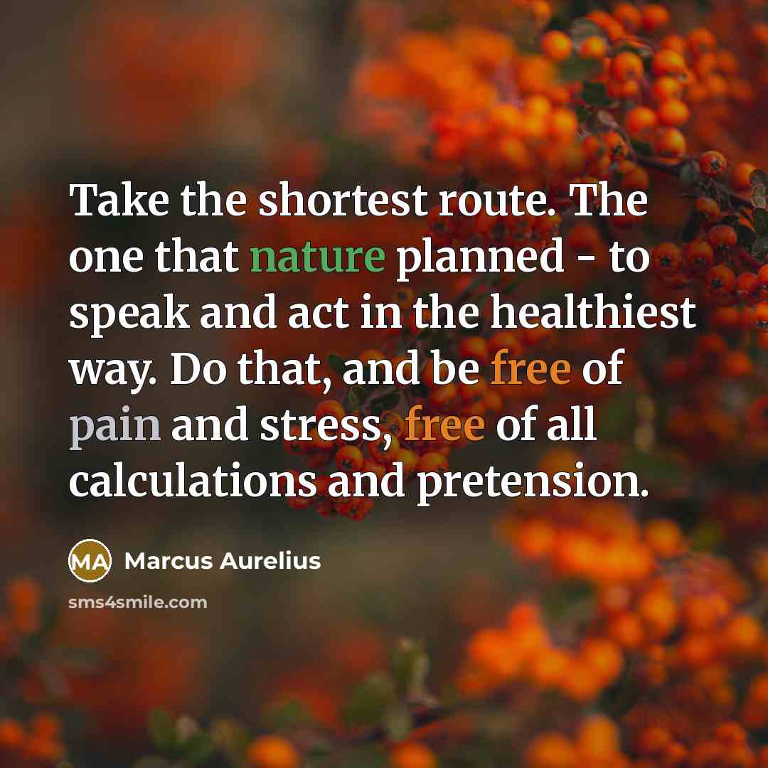 “Take the shortest route. The one that nature planned - to speak and act in the healthiest way. Do that, and be free of pain and stress, free of all calculations and pretension.” quote by Marcus Aurelius