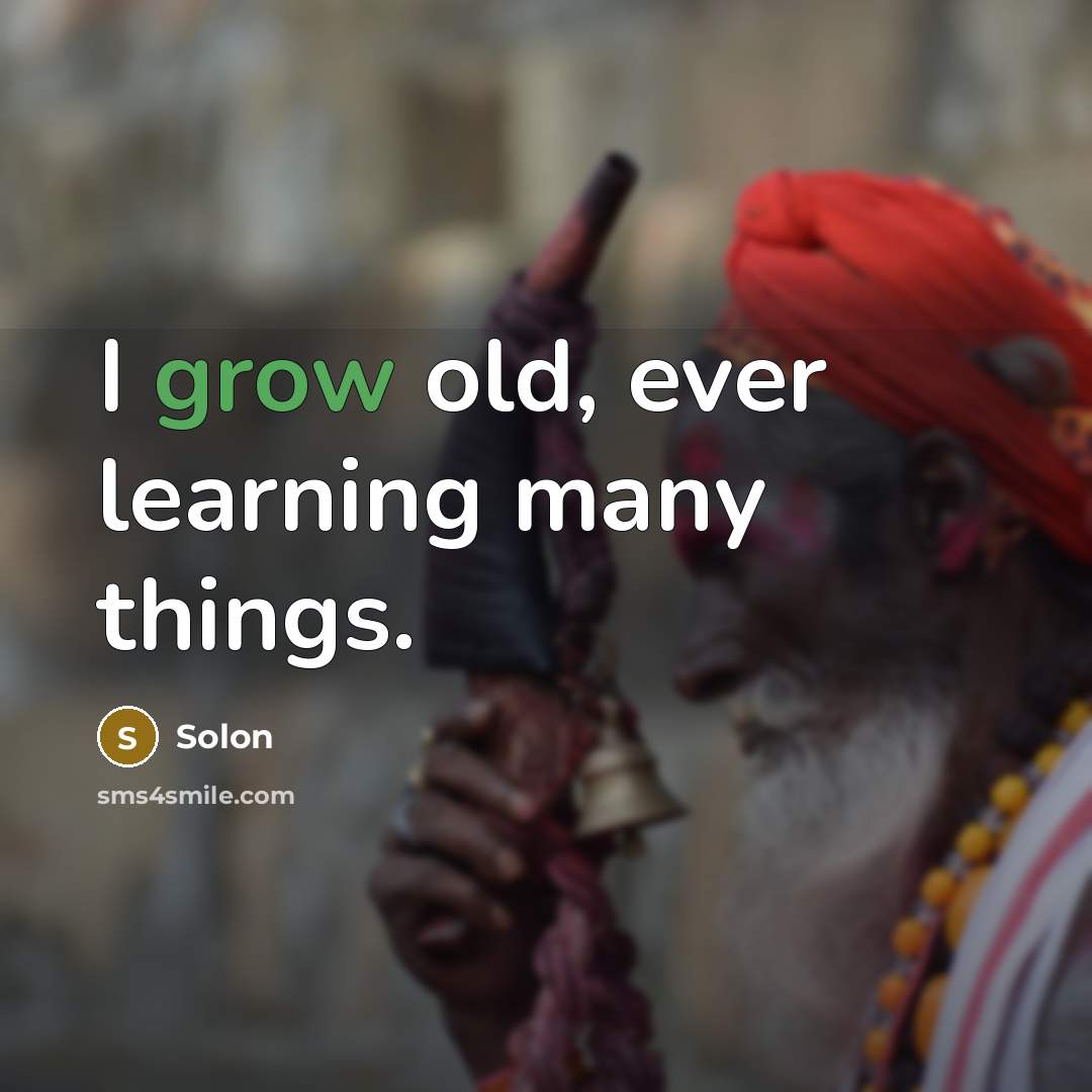 “I grow old, ever learning many things.” quote by Solon