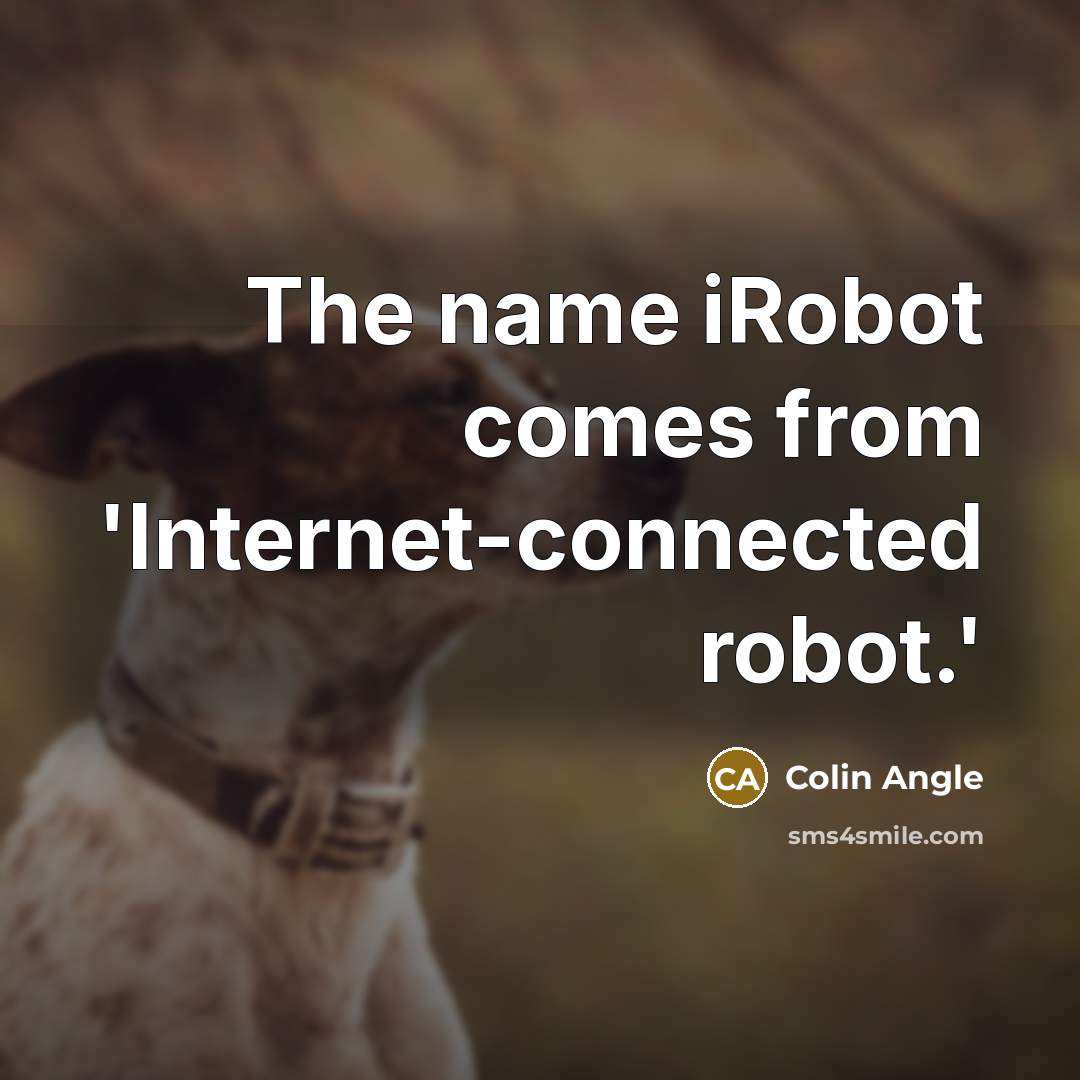 “The name iRobot comes from 'Internet-connected robot.'” quote by Colin Angle