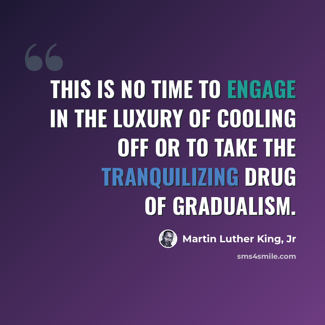 “This is no time to engage in the luxury of cooling off or to take the tranquilizing drug of gradualism.” quote by Martin Luther King, Jr