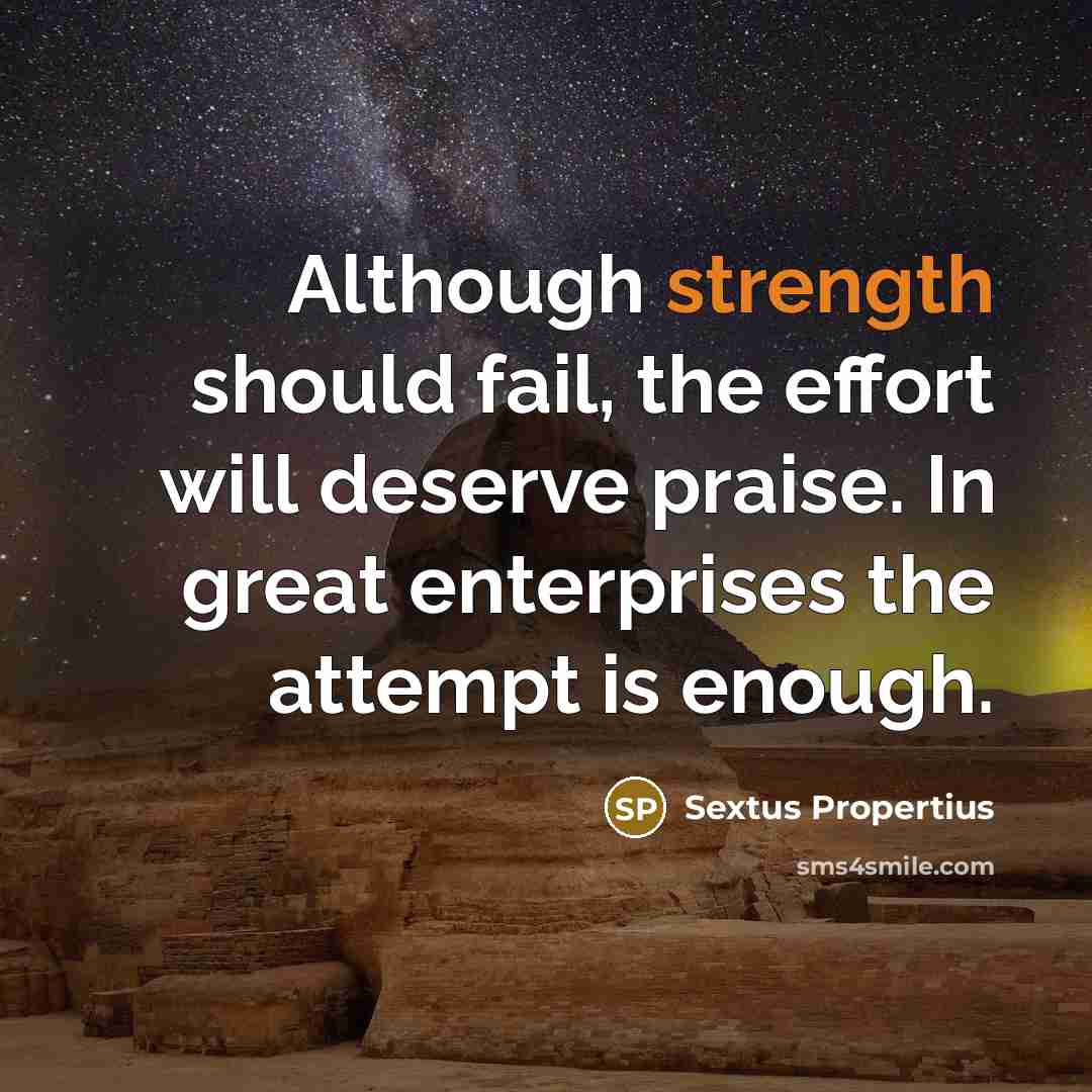 “Although strength should fail, the effort will deserve praise. In great enterprises the attempt is enough.” quote by Sextus Propertius