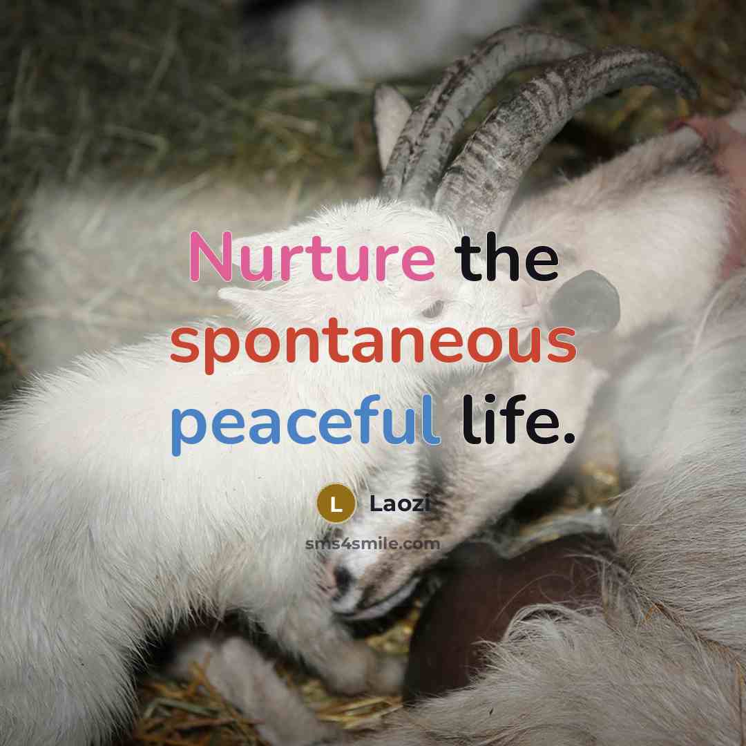 “Nurture the spontaneous peaceful life.” quote by Laozi