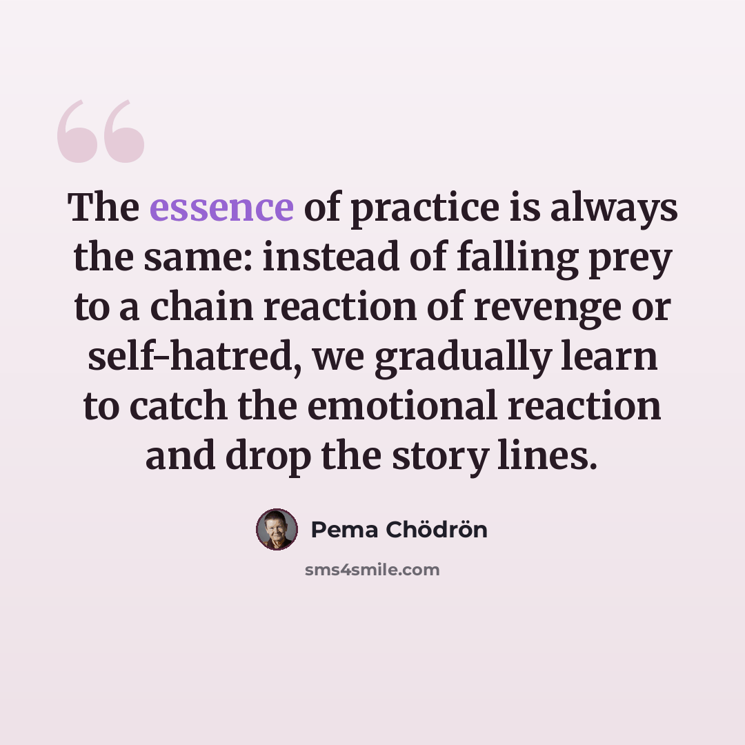 “The essence of practice is always the same: instead of falling prey to a chain reaction of revenge or self-hatred, we gradually learn to catch the emotional reaction and drop the story lines.” quote by Pema Chodron
