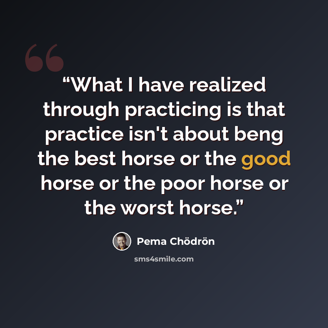 “What I have realized through practicing is that practice isn't about beng the best horse or the good horse or the poor horse or the worst horse.” quote by Pema Chödrön