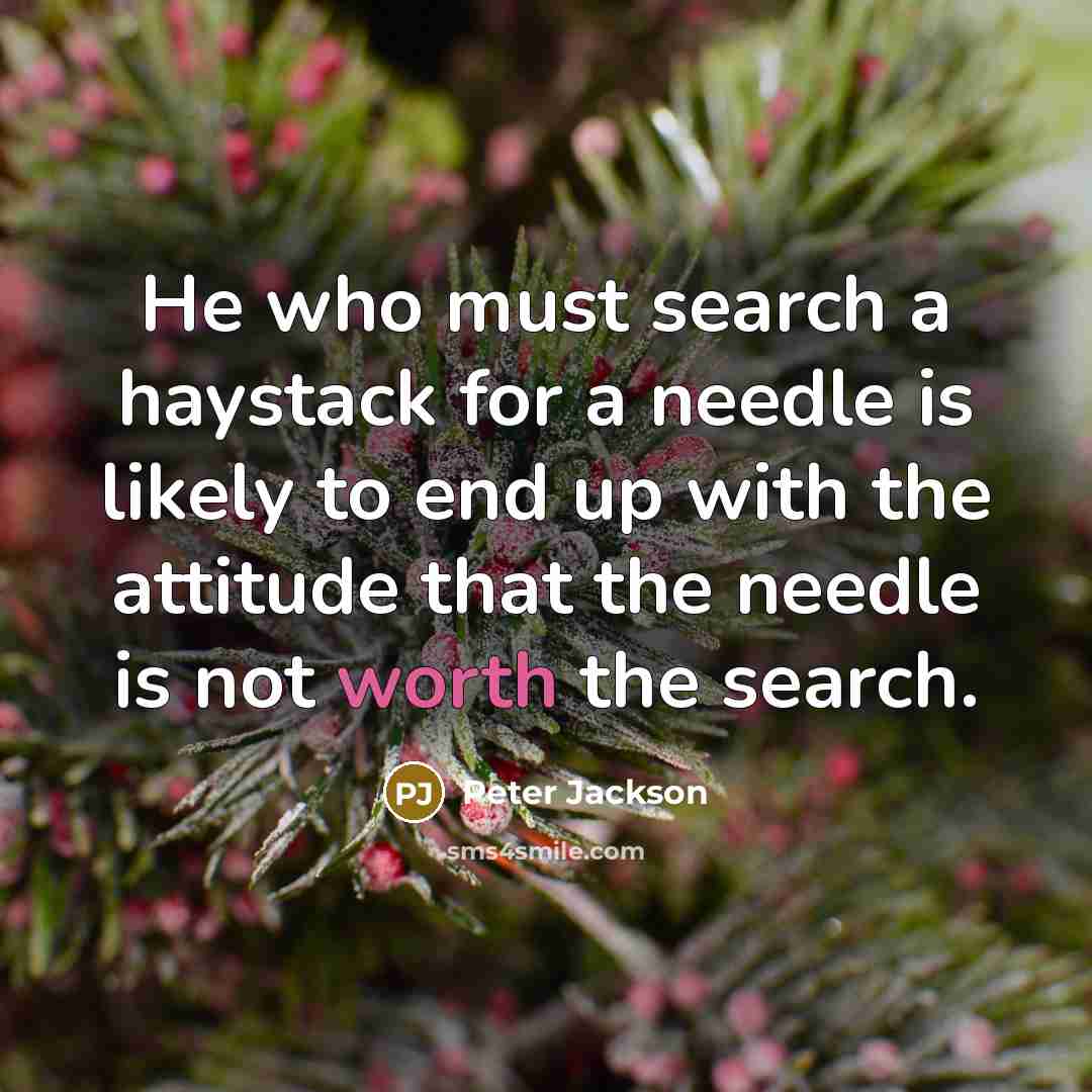 “He who must search a haystack for a needle is likely to end up with the attitude that the needle is not worth the search.” quote by Peter Jackson