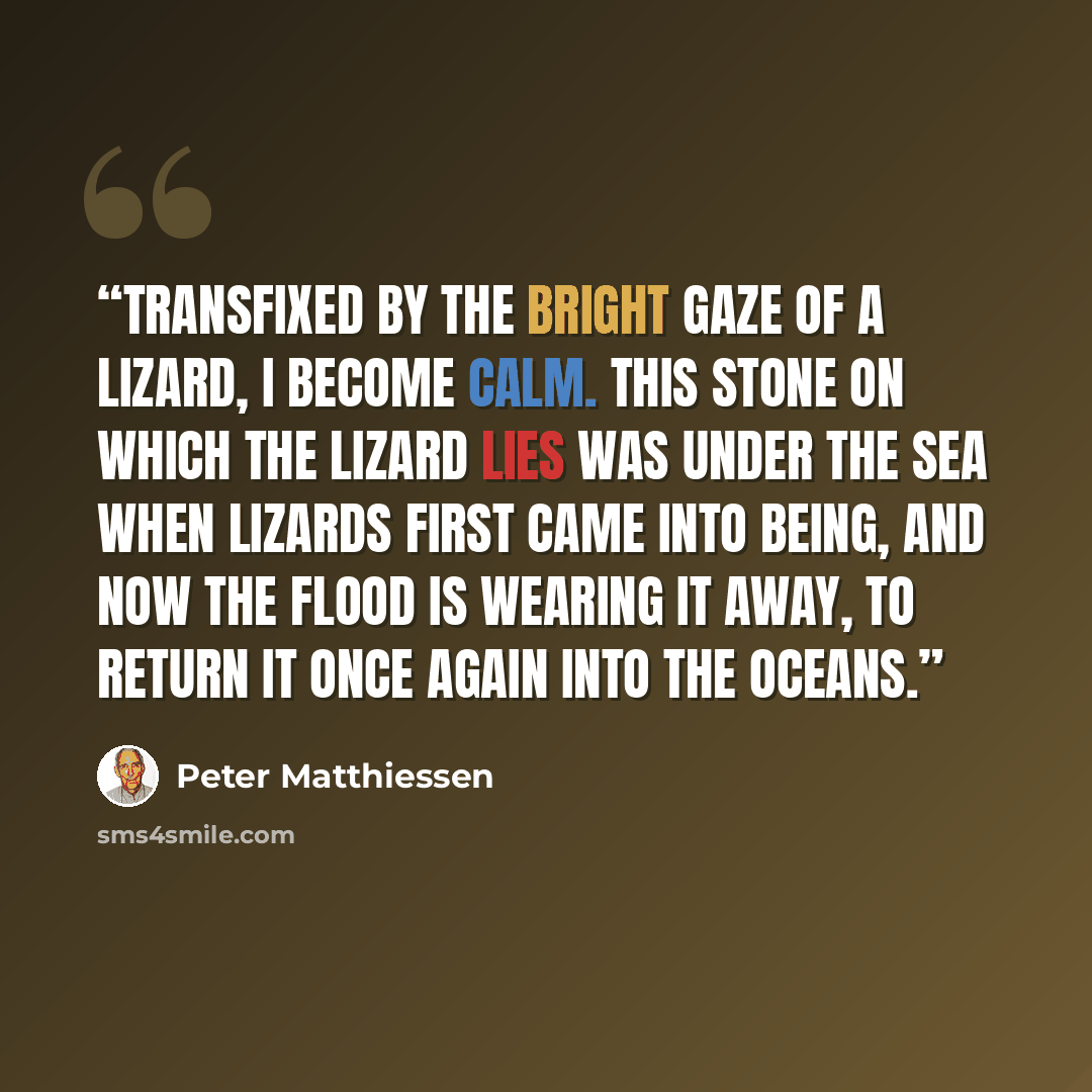 “Transfixed by the bright gaze of a lizard, I become calm. This stone on which the lizard lies was under the sea when lizards first came into being, and now the flood is wearing it away, to return it once again into the oceans.” quote by Peter Matthiessen