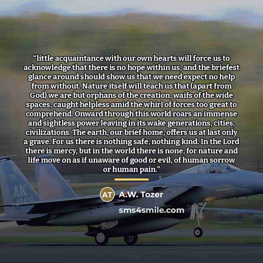 “little acquaintance with our own hearts will force us to acknowledge that there is no hope within us, and the briefest glance around should show us that we need expect no help from without. Nature itself will teach us that (apart from God) we are but orphans of the creation, waifs of the wide…” quote by A.W. Tozer
