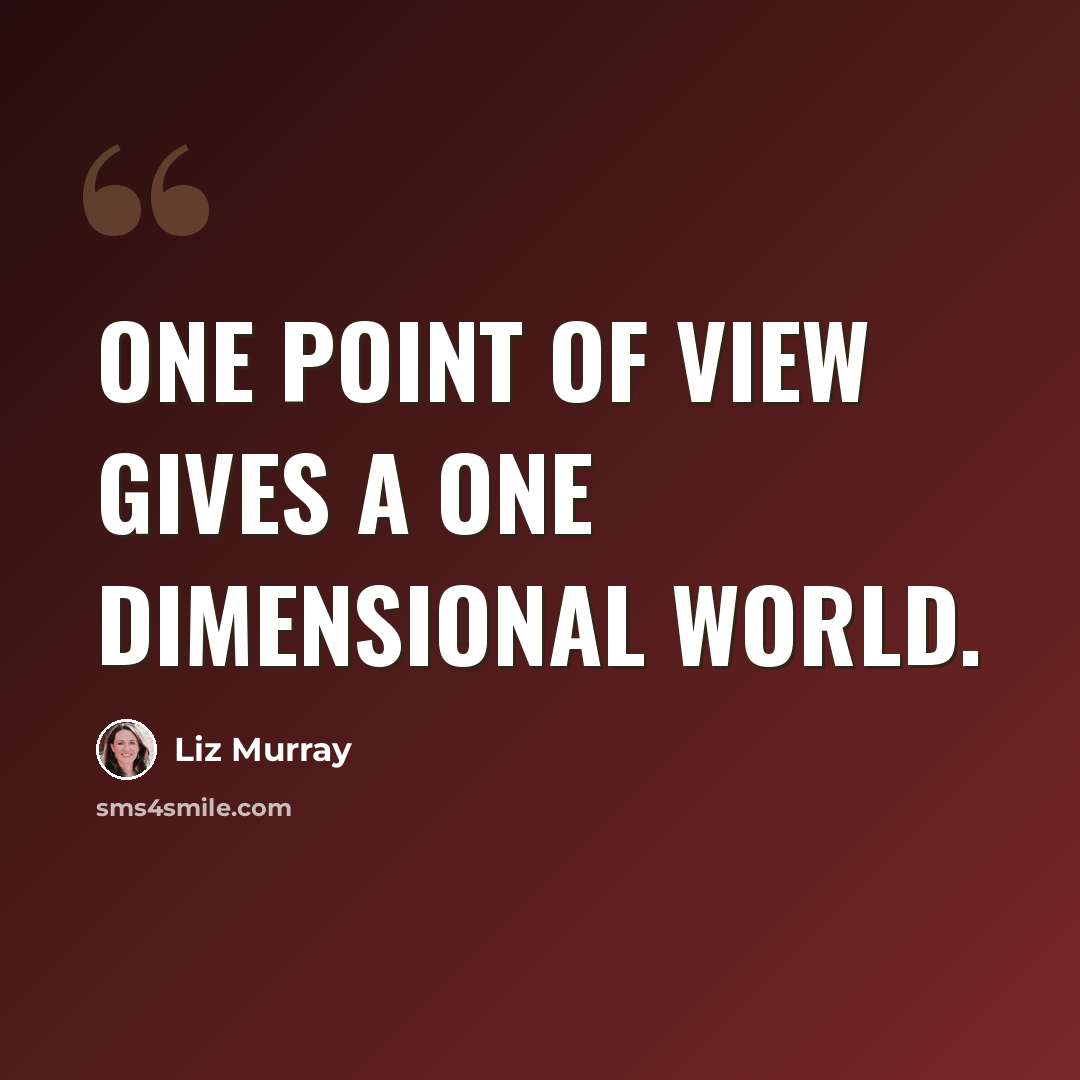 “One point of view gives a one dimensional world.” quote by Liz Murray