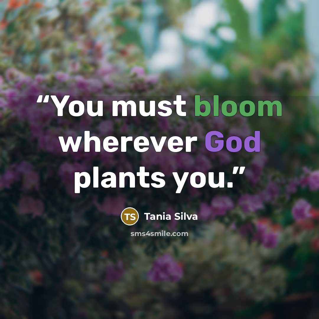 “You must bloom wherever God plants you.” quote by Tania Silva