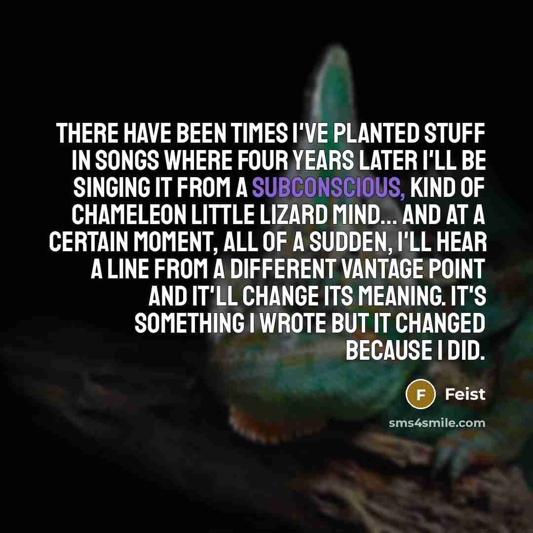 “There have been times I've planted stuff in songs where four years later I'll be singing it from a subconscious, kind of chameleon little lizard mind... and at a certain moment, all of a sudden, I'll hear a line from a different vantage point and it'll change its meaning. It's something I wrote…” quote by Feist