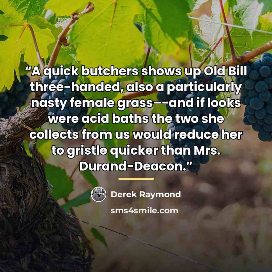 “A quick butchers shows up Old Bill three-handed, also a particularly nasty female grass–-and if looks were acid baths the two she collects from us would reduce her to gristle quicker than Mrs. Durand-Deacon.” quote by Derek Raymond