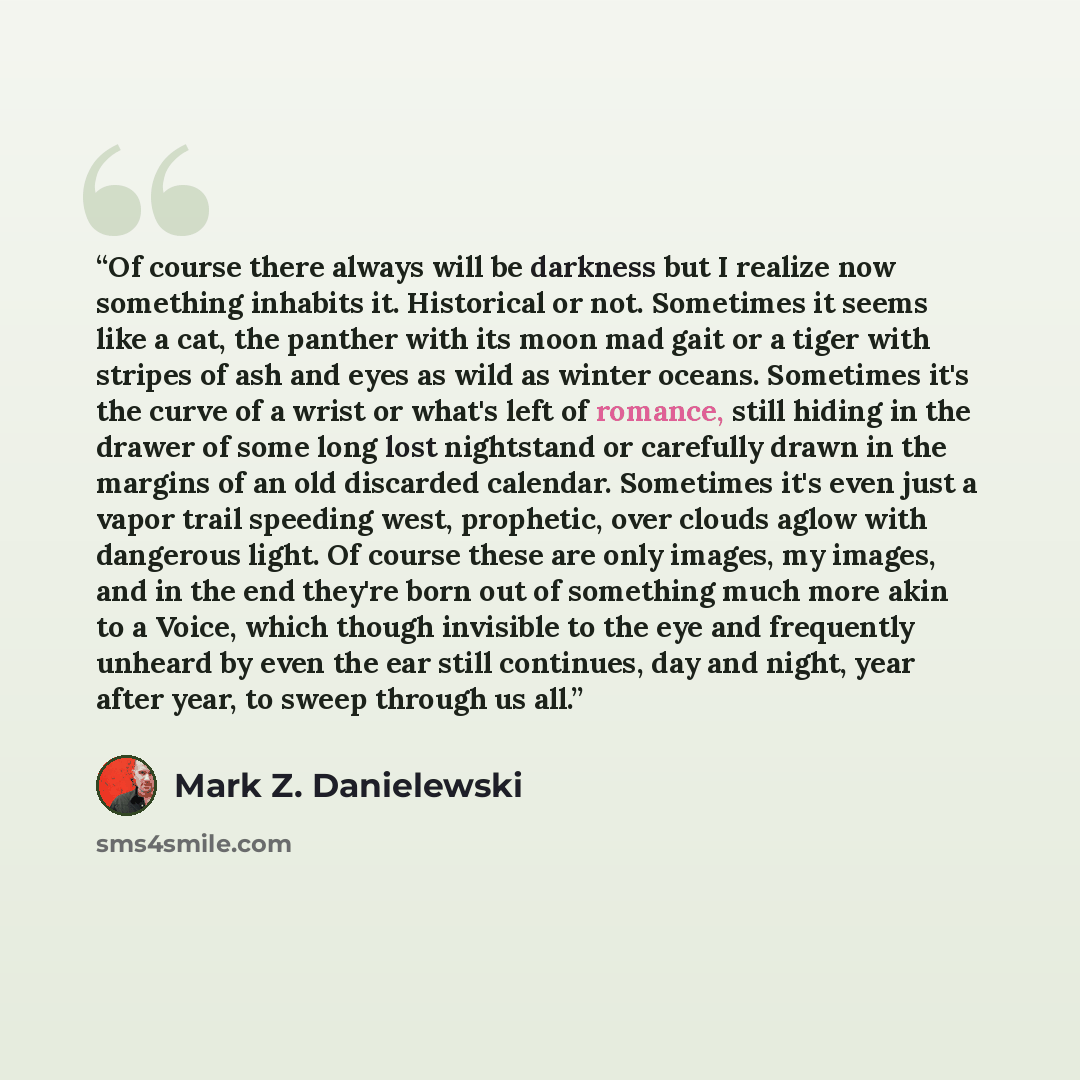 “Of course there always will be darkness but I realize now something inhabits it. Historical or not. Sometimes it seems like a cat, the panther with its moon mad gait or a tiger with stripes of ash and eyes as wild as winter oceans. Sometimes it's the curve of a wrist or what's left of romance…” quote by Mark Z. Danielewski